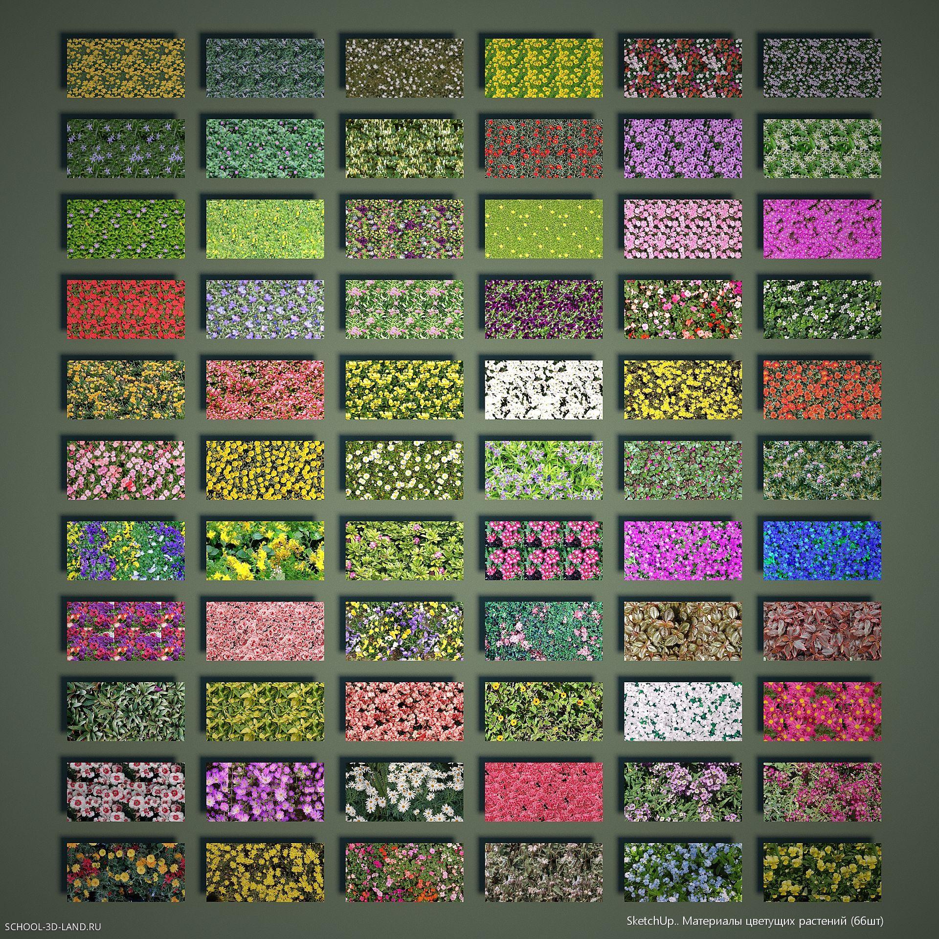 Материалы цветущих растений (66шт)