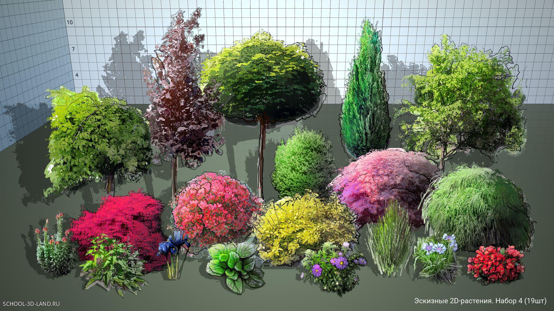 Эскизные 2D-растения для SketchUp. Набор 4 (19шт)