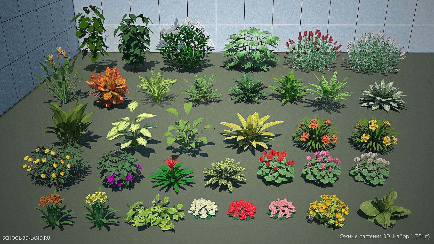 Южные растения 3D. Набор 1 (35шт)