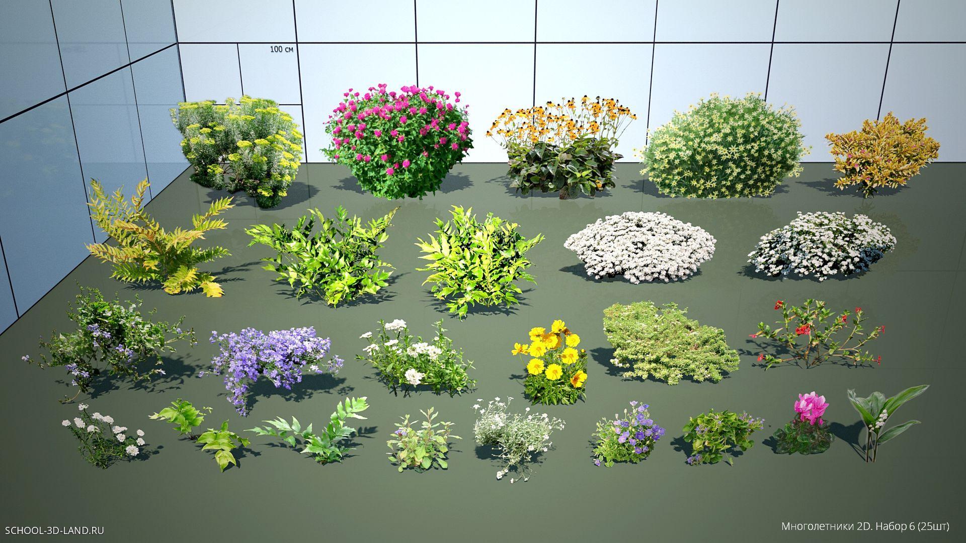 Perennials 2D. Set 6 (25pcs)