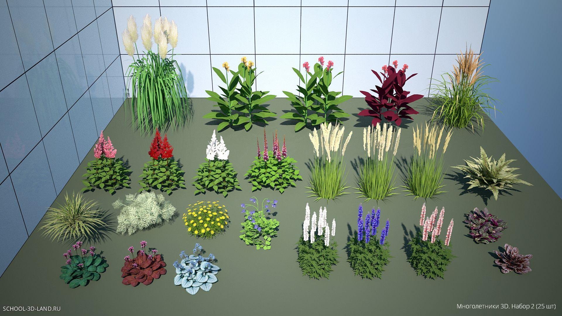 Perennials 3D. Set 2 (25pcs)