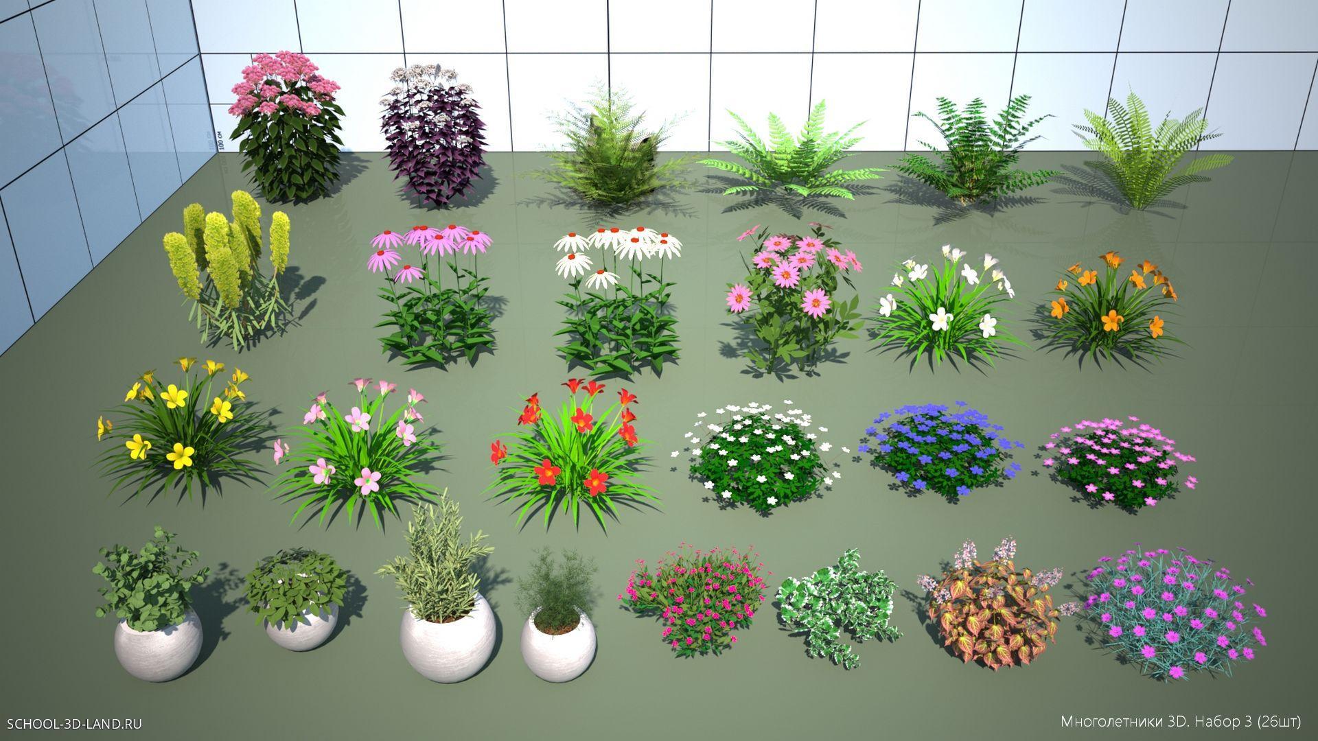 Perennials 3D. Set 3 (25pcs)