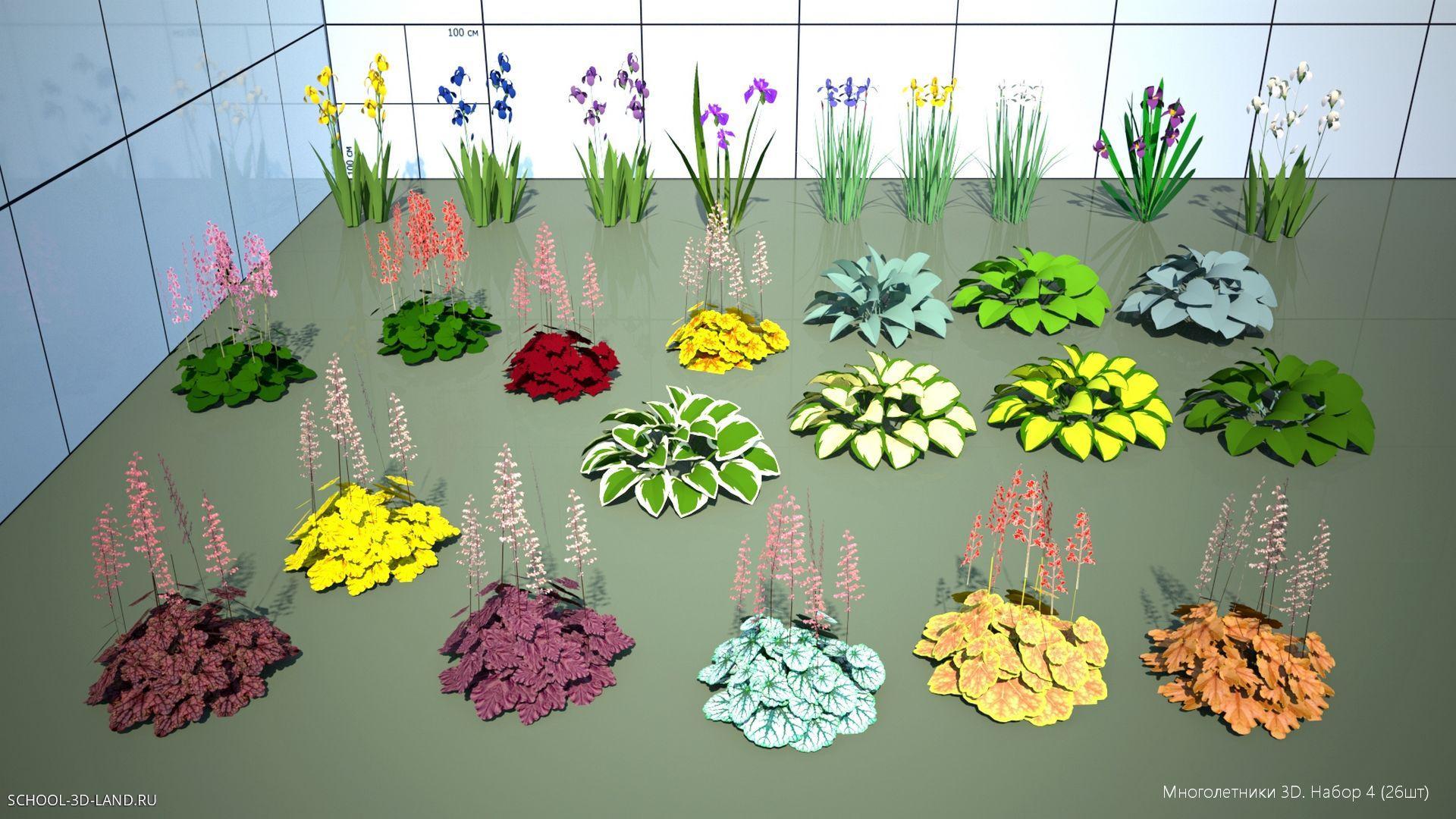 Perennials 3D. Set 4 (26pcs)