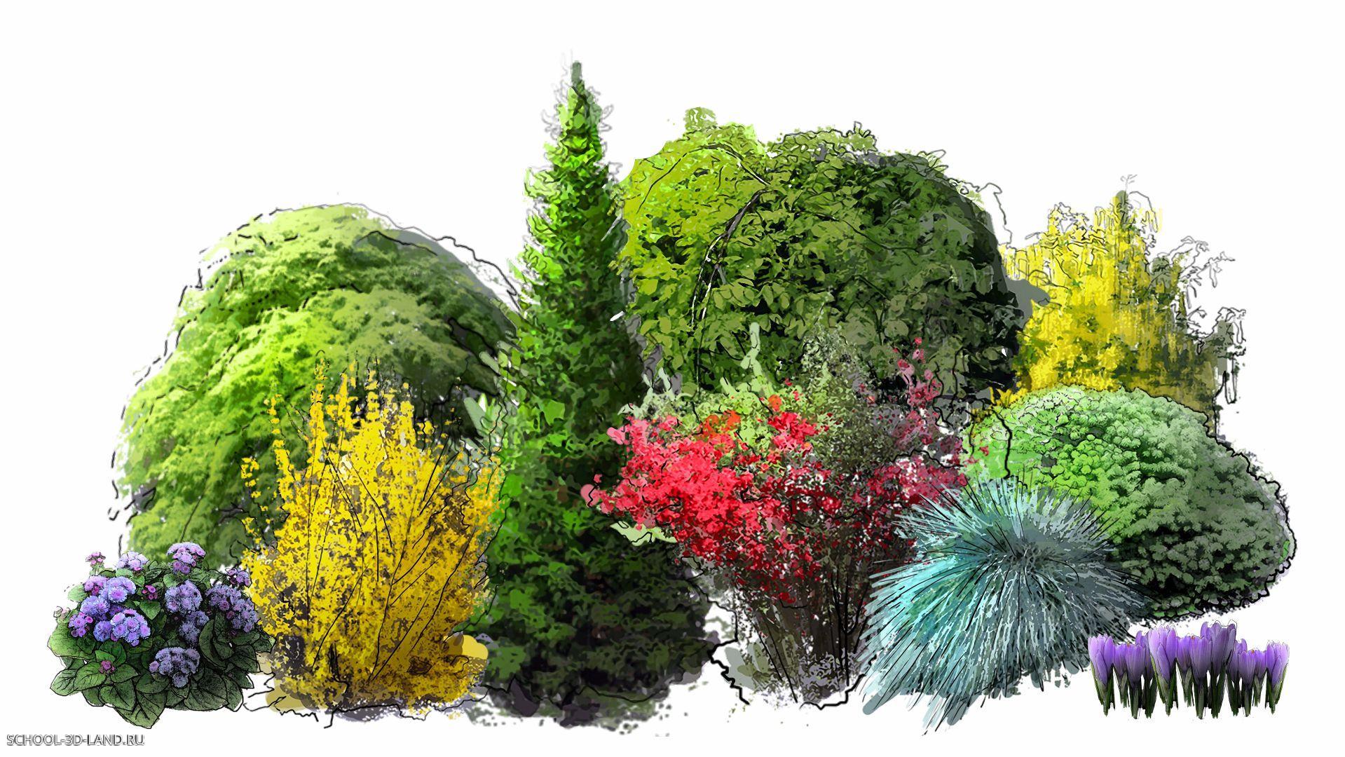 Новый стиль 2Д-моделей растений для SketchUp