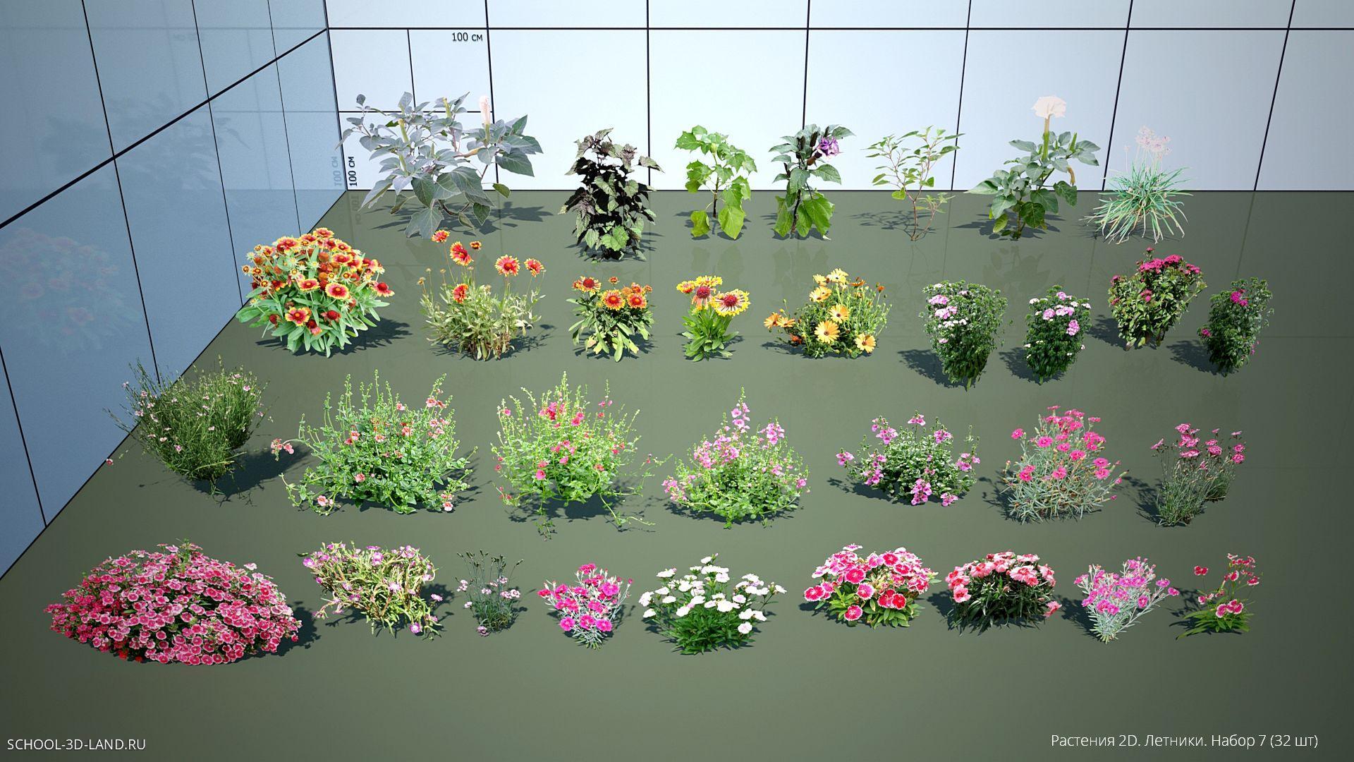 Растения 2D. Летники. Набор 7 (32шт)