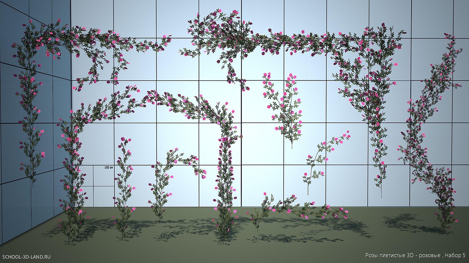 Розы плетистые 3D. Сборник 5-розовые