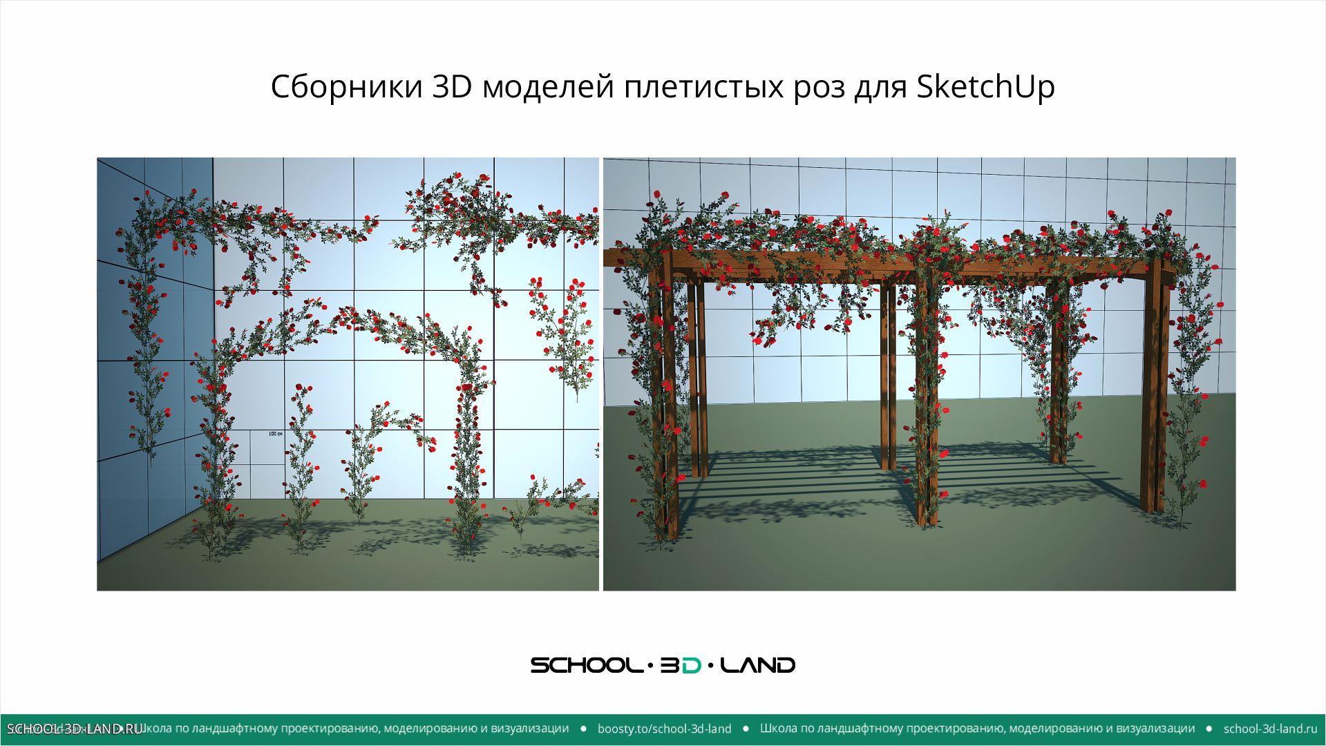 🟢 SU8. Пояснение к сборникам с плетистыми розами для SketchUp