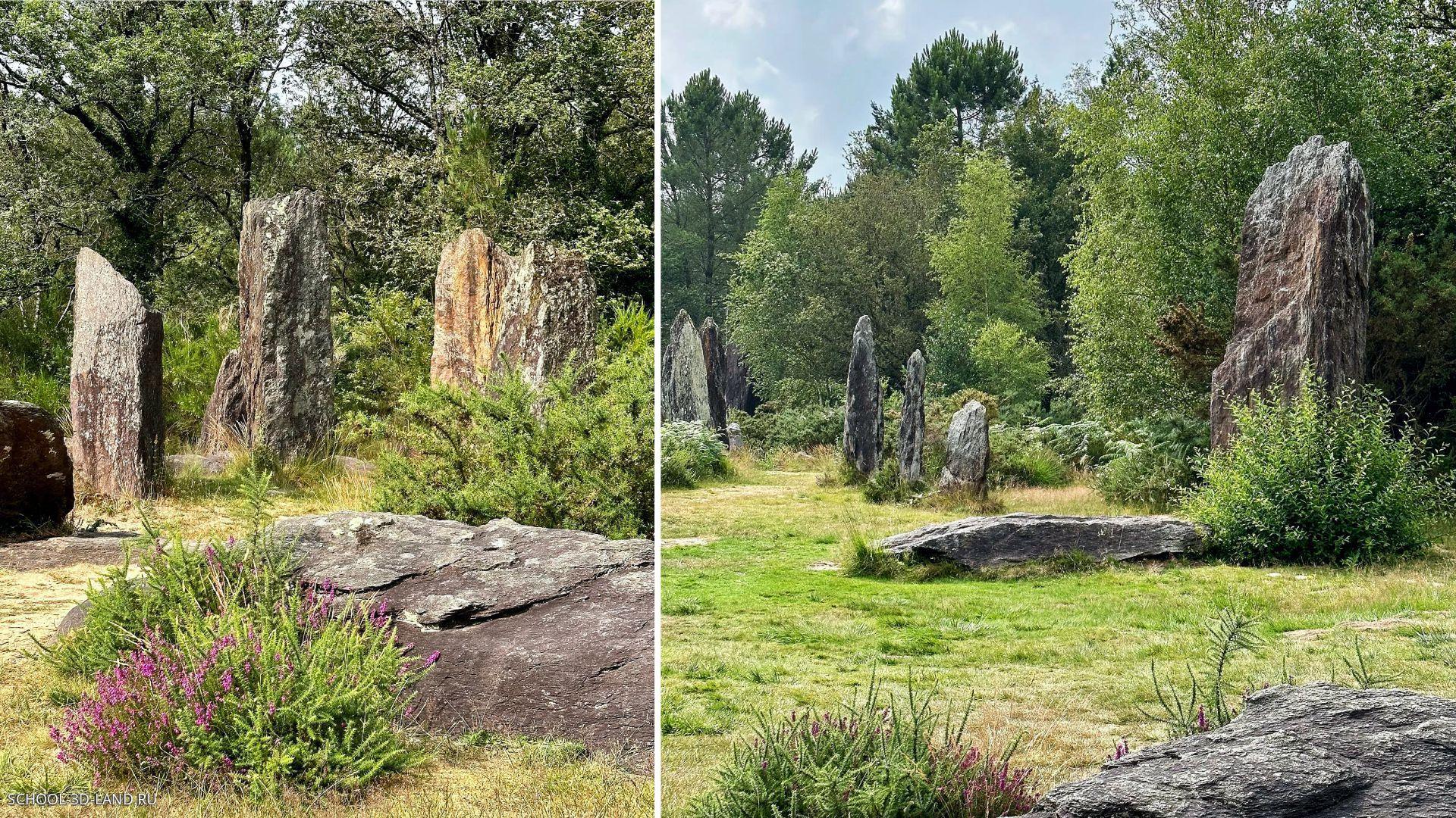 6500 year old rock garden