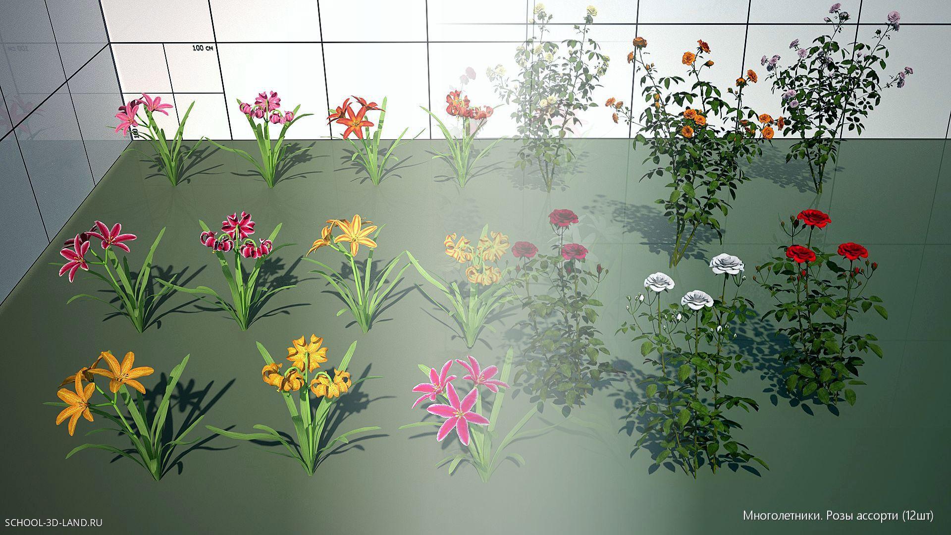 Немного о последних 3Д-растениях для SketchUp