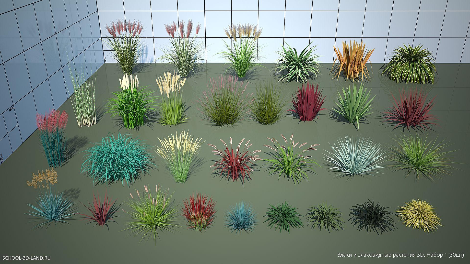 Злаки и злаковидные растения 3D. Набор 1 (30шт)
