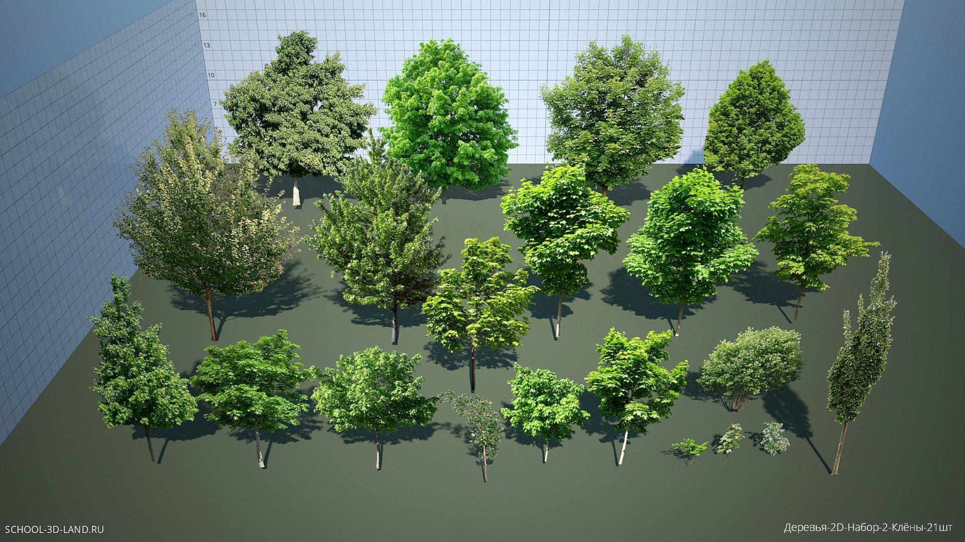 Trees-2D-Set-2-A (21pcs)