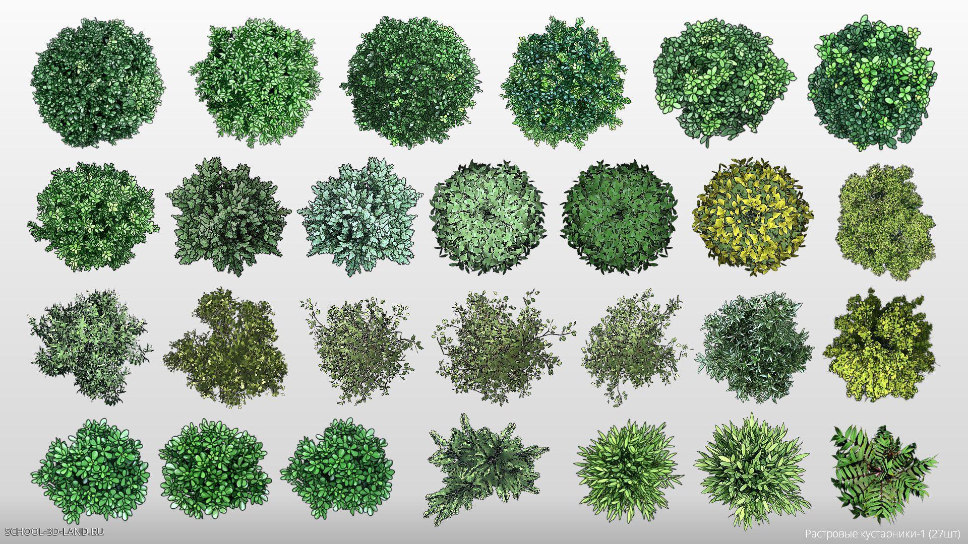 Растровые кустарники зелёные. Lumion-1.1 (27шт)
