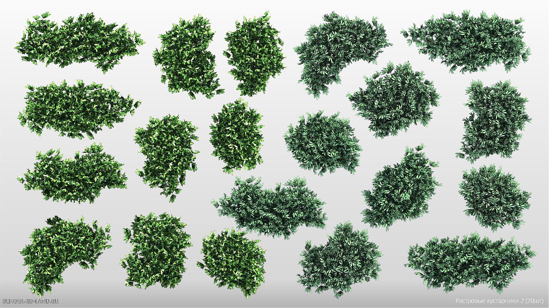 Растровые кустарники зелёные. Lumion-1.2 (20шт)