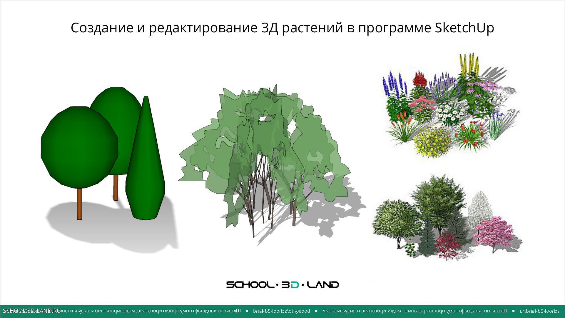 Creating and editing 3D plants in SketchUp. Parts 1-2