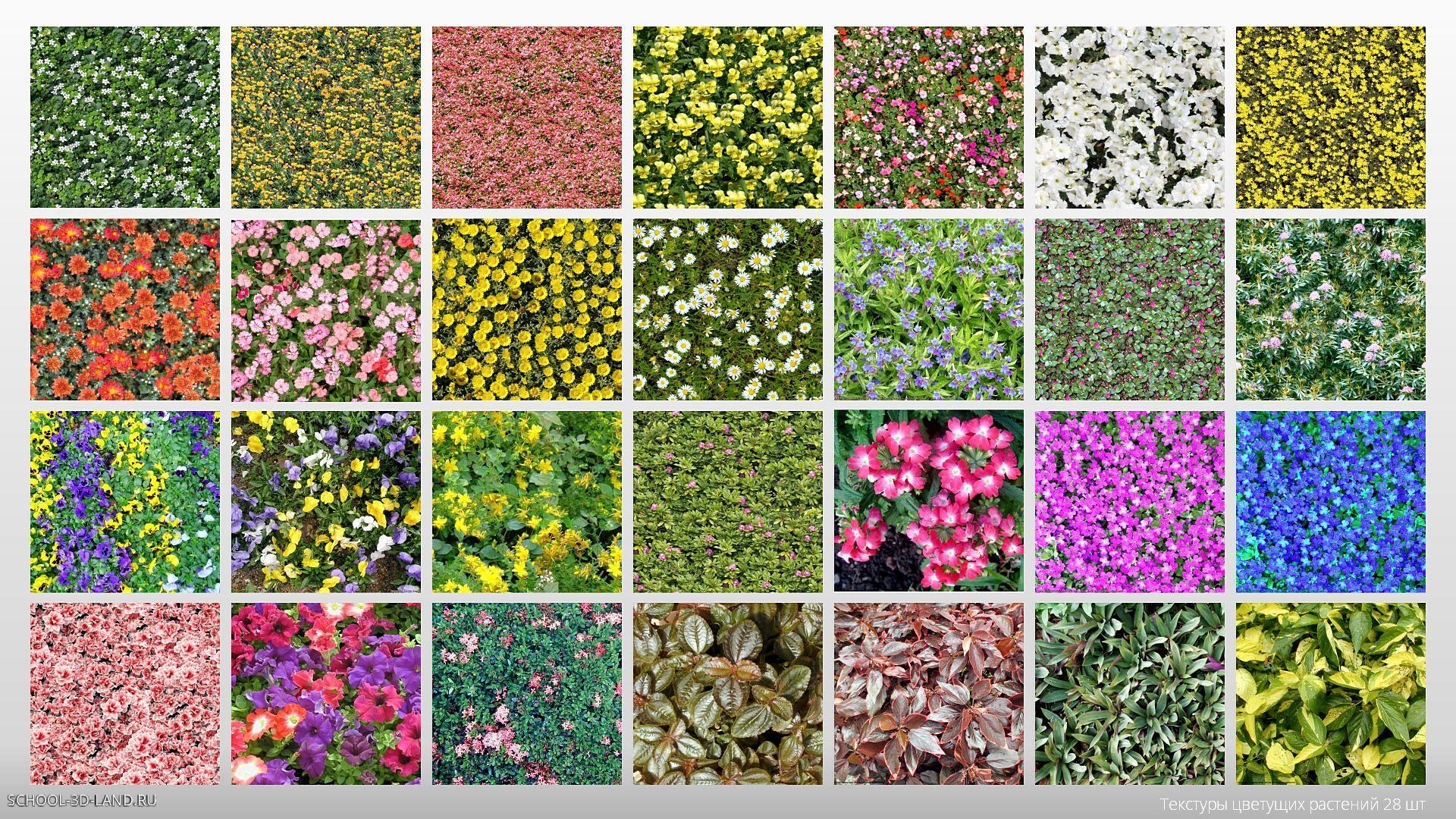 Текстуры цветущих растений (28шт)