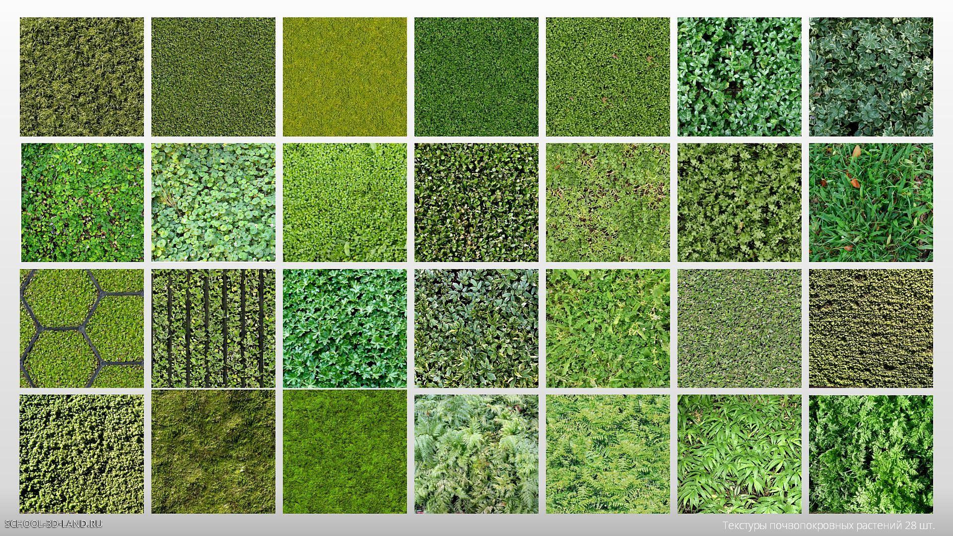 Текстуры почвопокровных растений (28шт)
